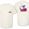 Silver Level - Ball Cap + Pocket Tee + Koozie + Bumper Sticker